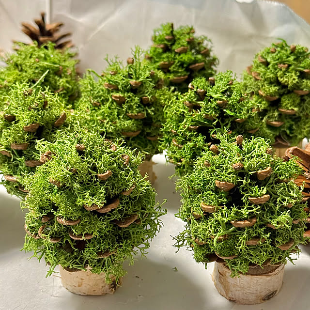 asako.10さんの部屋