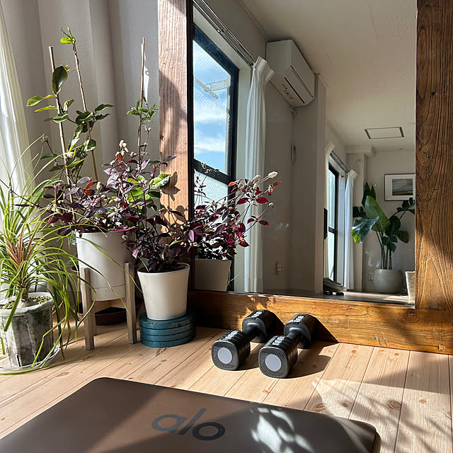 nee_roomさんの部屋