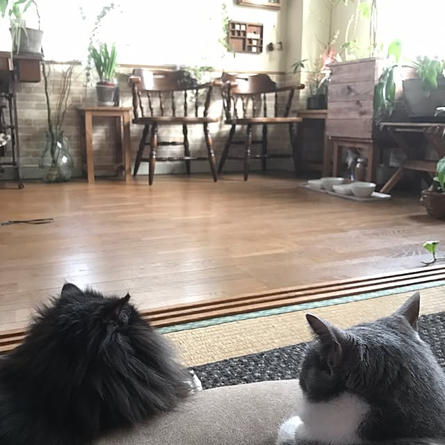 mucc08さんの実例写真