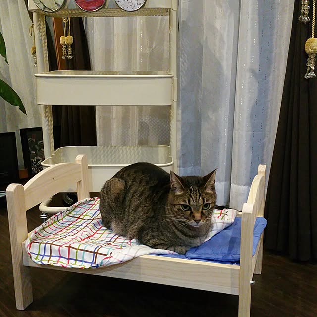 yumiさんの実例写真