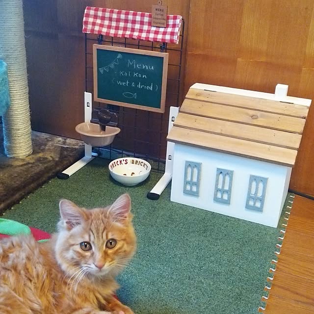 shirabenさんの実例写真