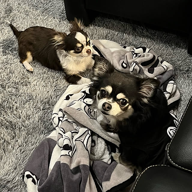 Hannahさんの実例写真