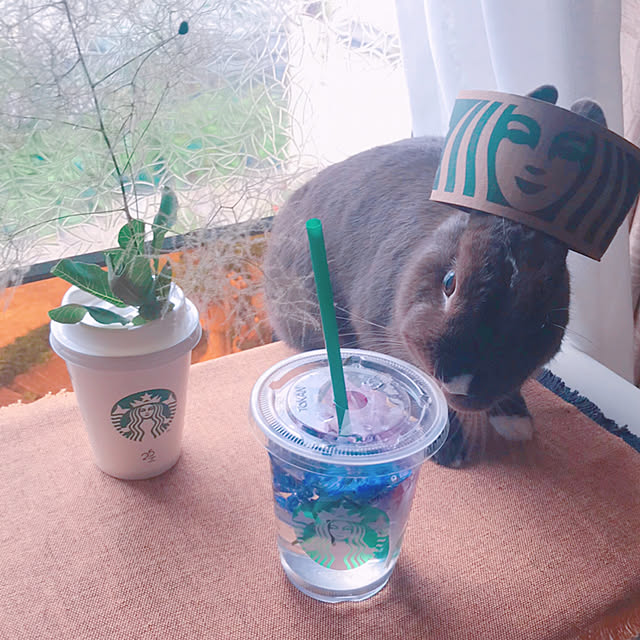 portulacaさんの実例写真