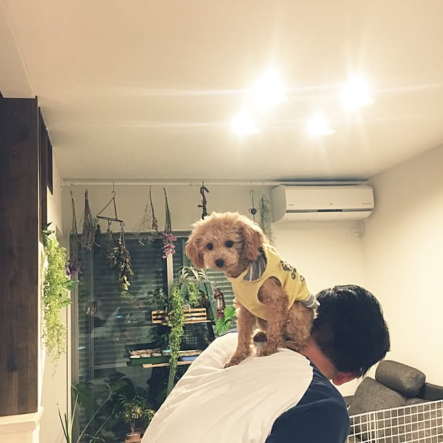 cocco0505さんの実例写真