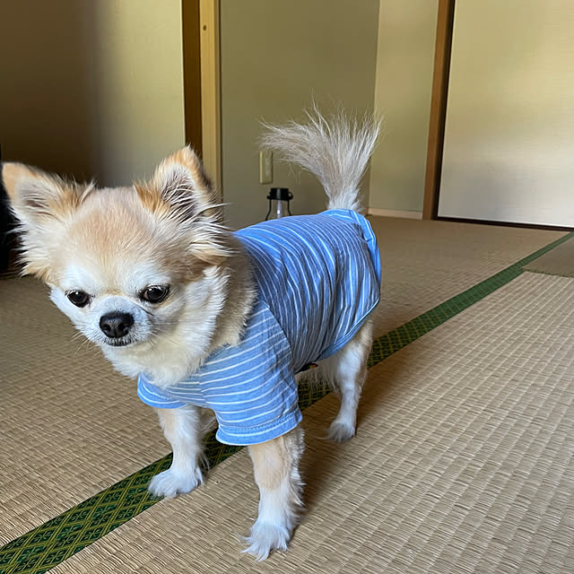 natsumiさんの部屋
