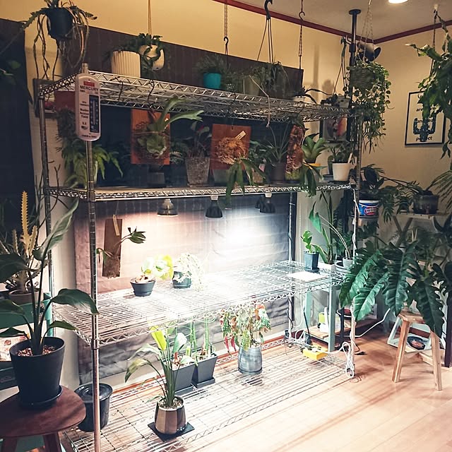 ot-gardenさんの部屋