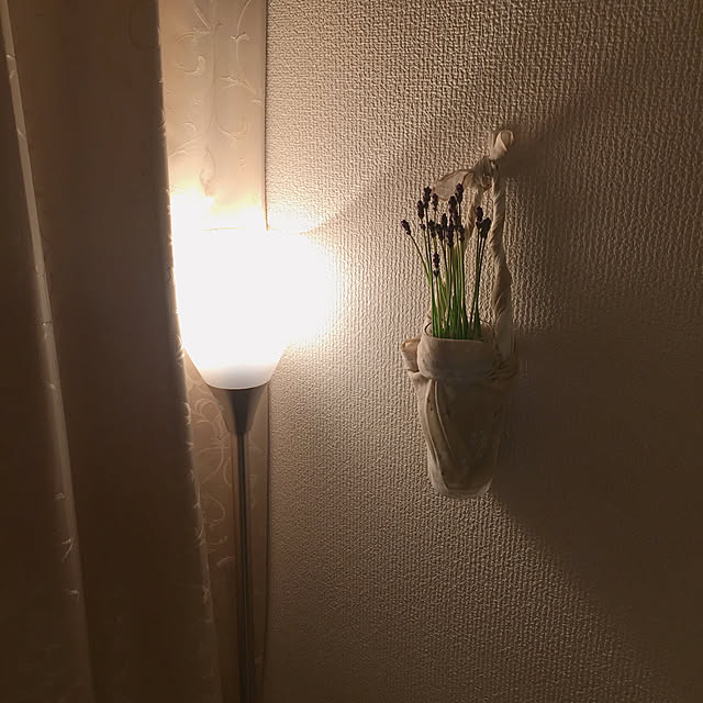 RanRanさんの実例写真
