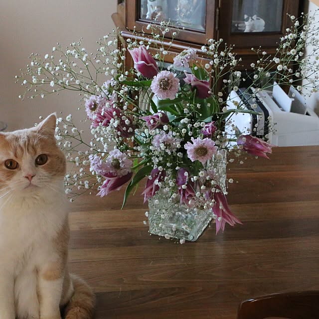rekomamaさんの実例写真