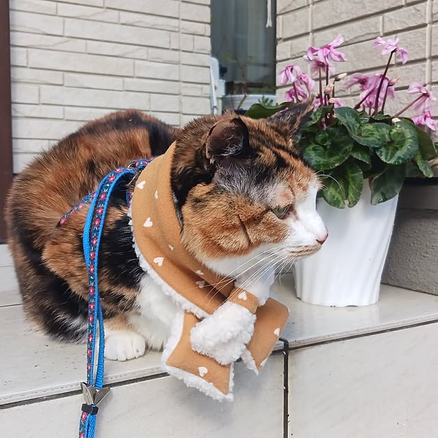 aiさんの部屋