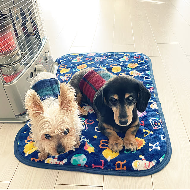 ohanaさんの実例写真