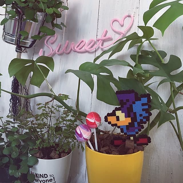 Rさんの実例写真