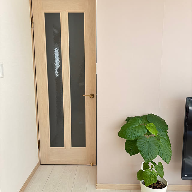 ayaさんの実例写真