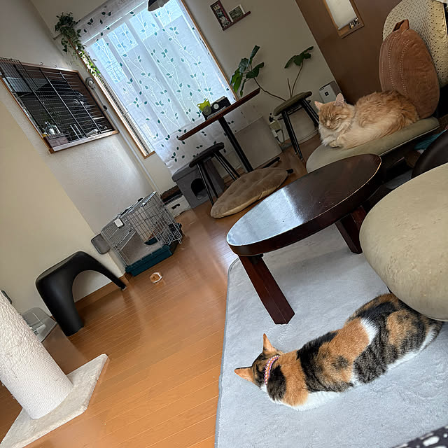 amosさんの実例写真