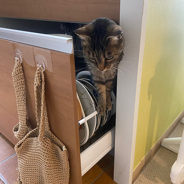 mikomaruさんの実例写真