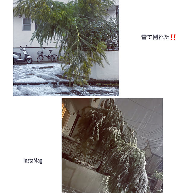 yupponさんの部屋