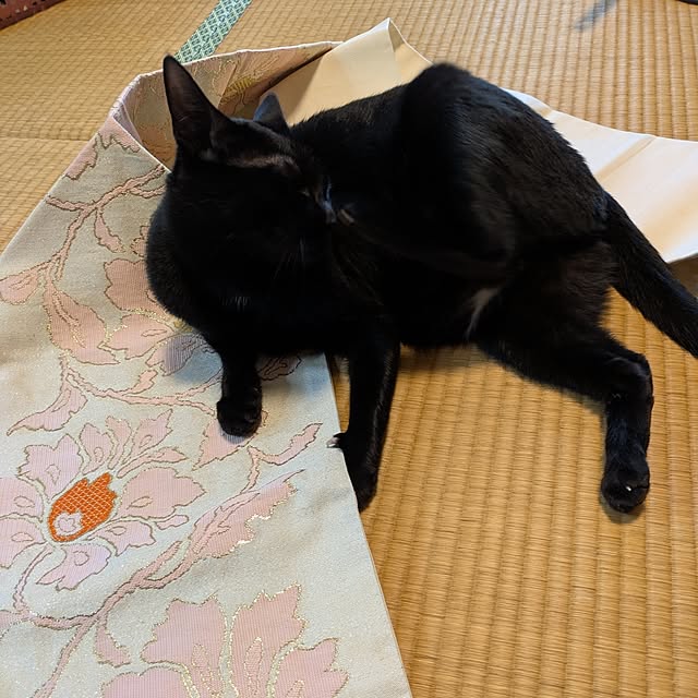 asaさんの部屋
