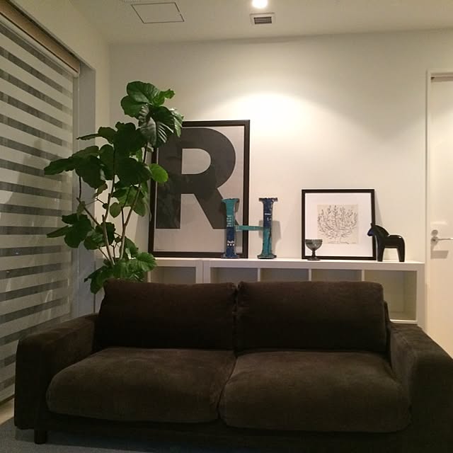 taneさんの実例写真