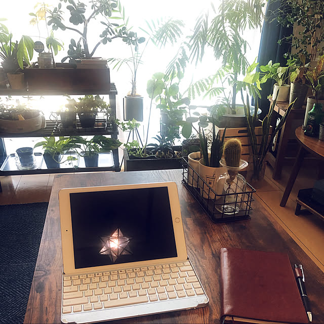 一人暮らし/観葉植物/カフェ風/机のインテリア実例 - 2020-04-25 13:38:00