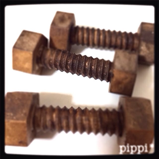 pippiさんの実例写真