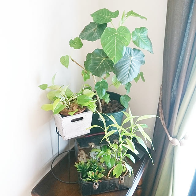 greenwireさんの実例写真