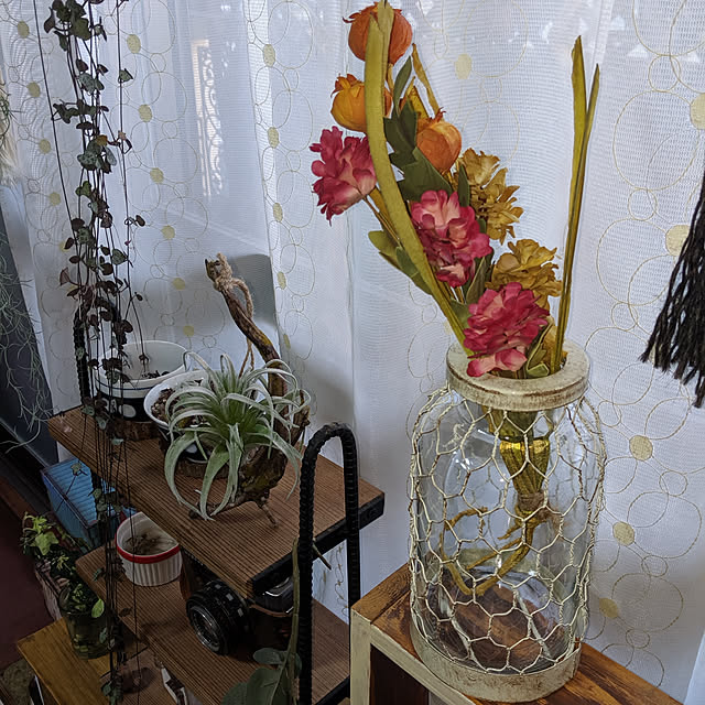 abiさんの実例写真