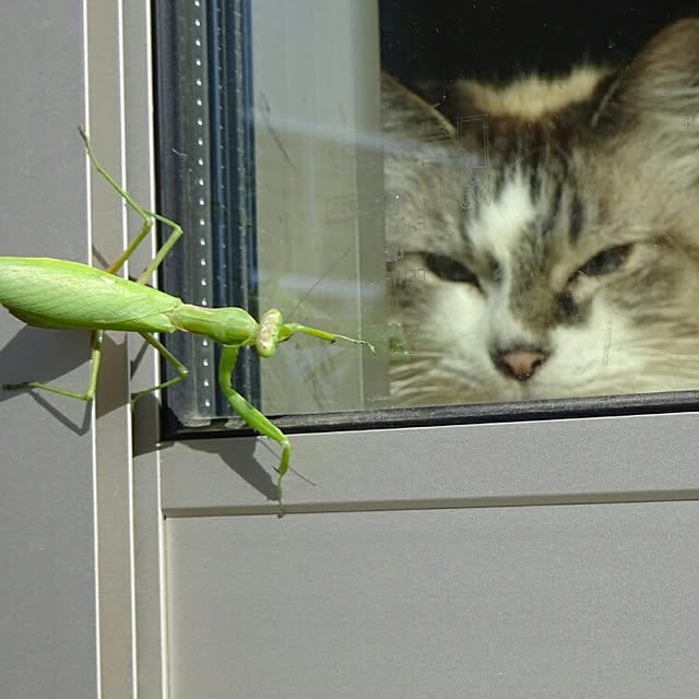123sgnbさんの実例写真