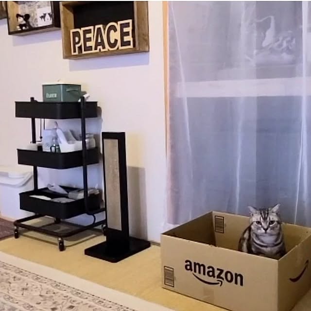 lovepeaceさんの実例写真