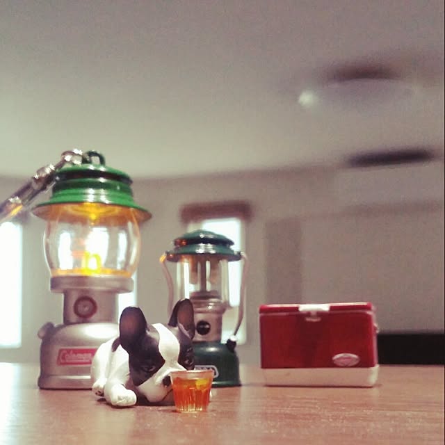 akikoさんの実例写真