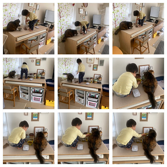 mikomaruさんの実例写真