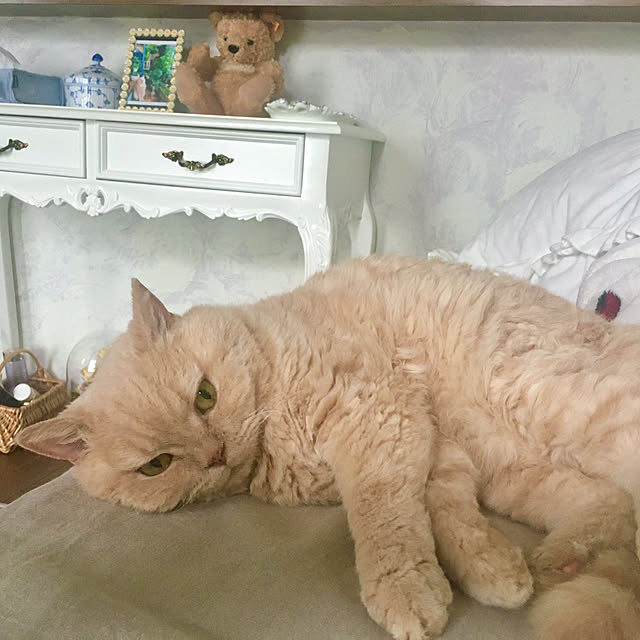 naokoさんの実例写真