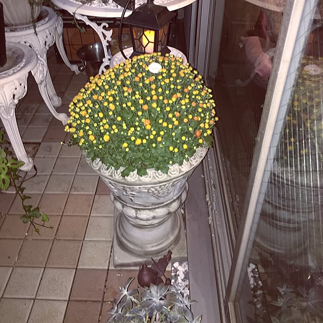 emmyyさんの実例写真