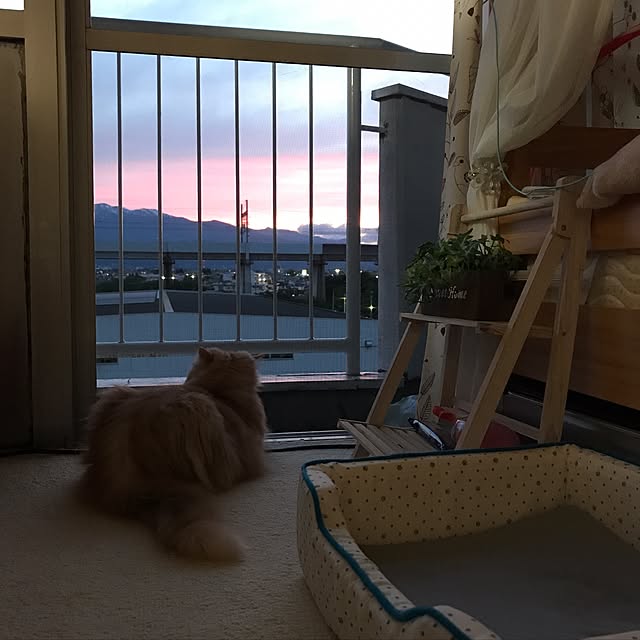 roseさんの実例写真