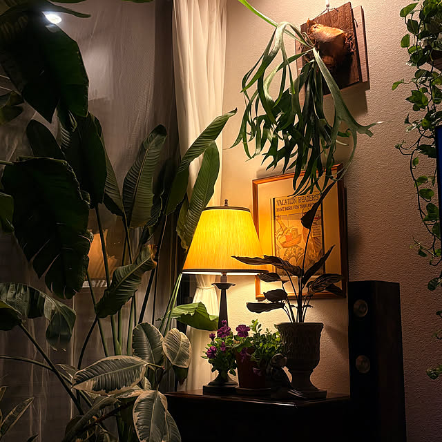 ymymcurryさんの実例写真