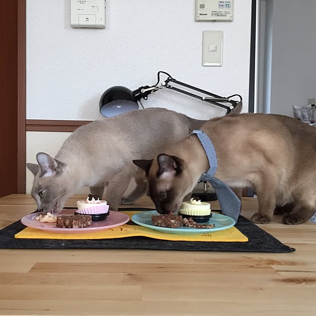 monkeymajimajikさんの実例写真