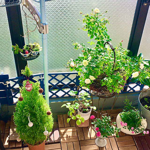 naokoさんの部屋