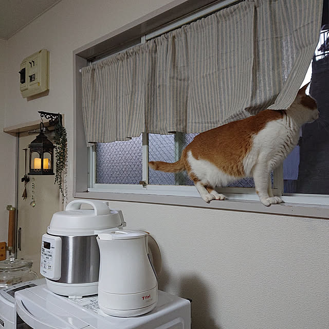 mugi77327732さんの実例写真