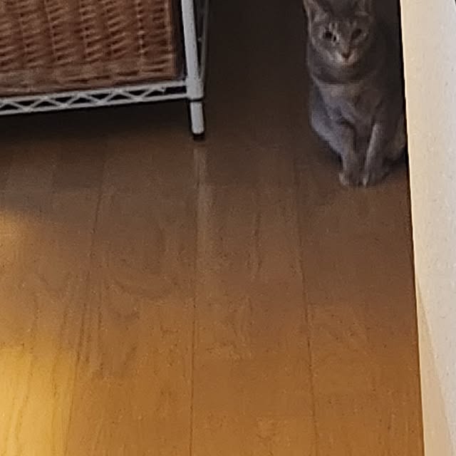 yukiさんの部屋