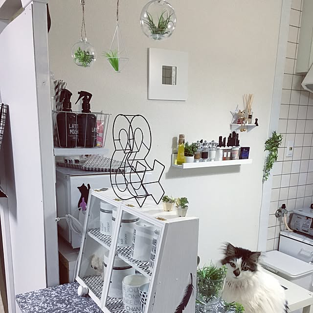 mikaさんの実例写真