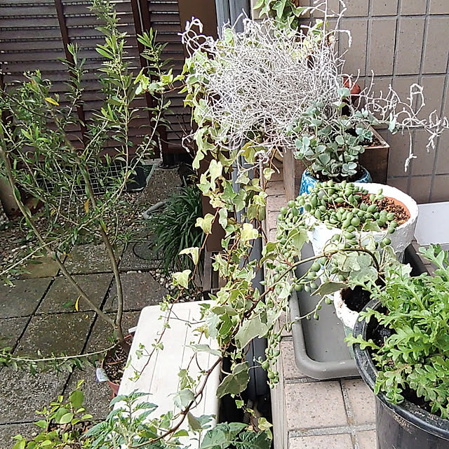 ATHENAIさんの実例写真