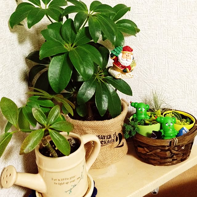 es.babyさんの実例写真
