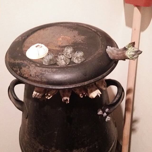 Hokutoさんの実例写真