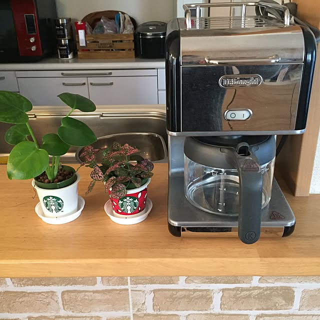 キッチン/観葉植物のインテリア実例 - 2016-12-06 10:47:38