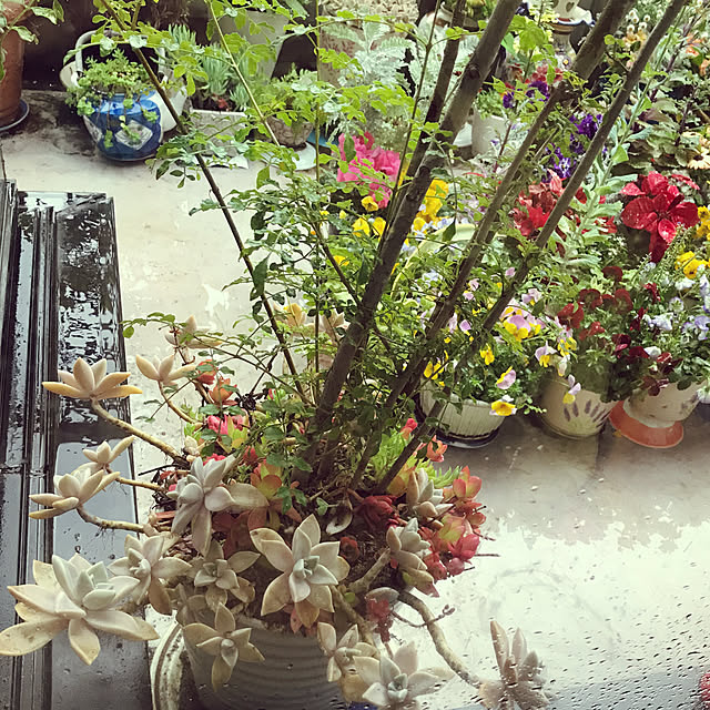 fuyiqian1026さんの実例写真