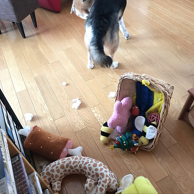 tomomi_kuranさんの実例写真