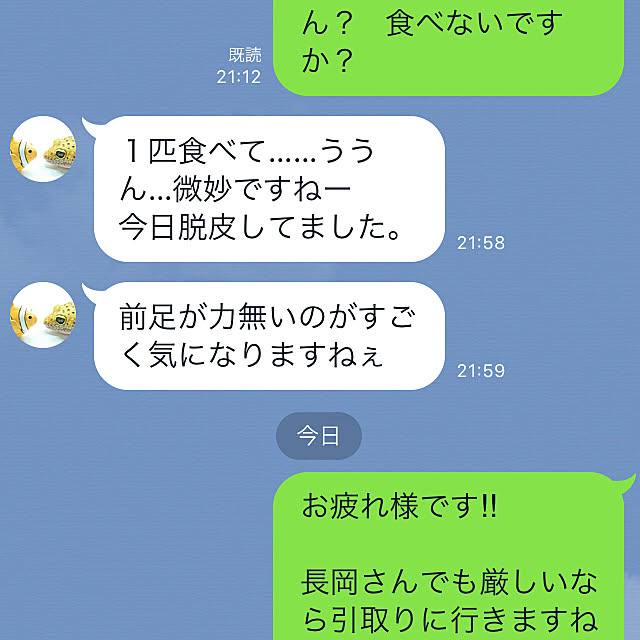 実例写真