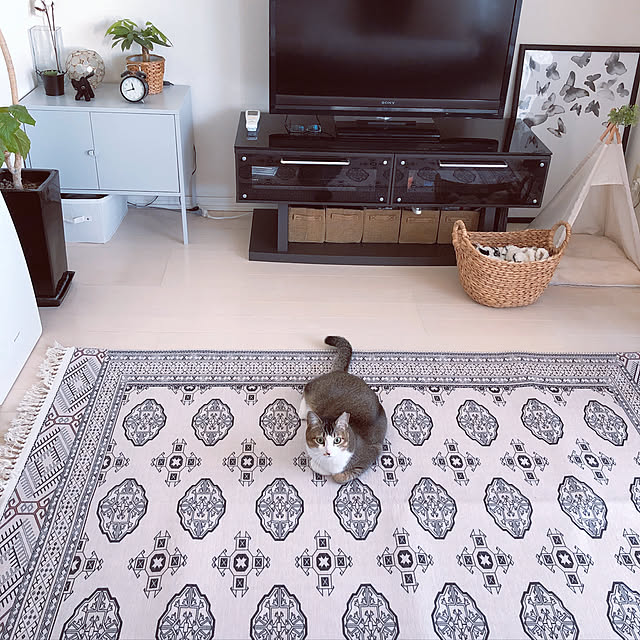 nekomiさんの実例写真