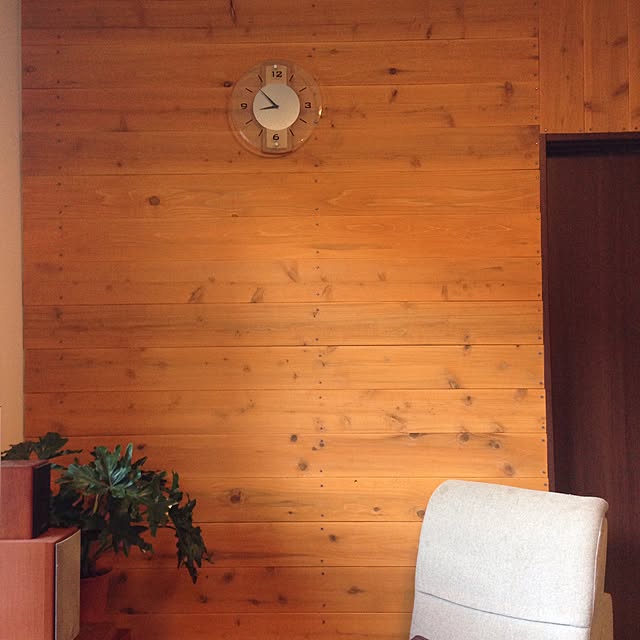 壁/天井/DIY/男前/観葉植物のインテリア実例 - 2016-02-15 00:33:15