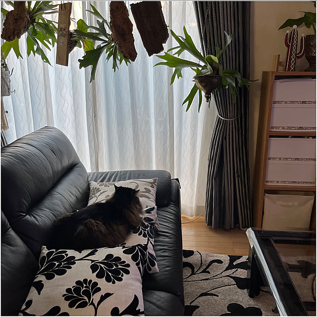 yukarin-gardenさんの実例写真