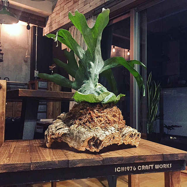 ichiさんの実例写真