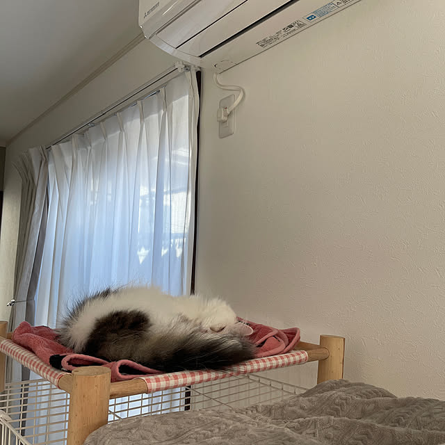 nyannyanさんの実例写真